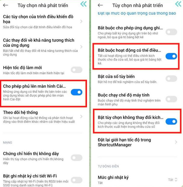 Cài đặt tùy chọn nhà phát triển